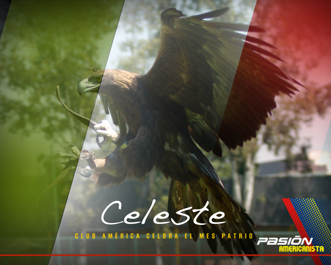 Wallpaper de Celeste * Club América - Sitio Oficial