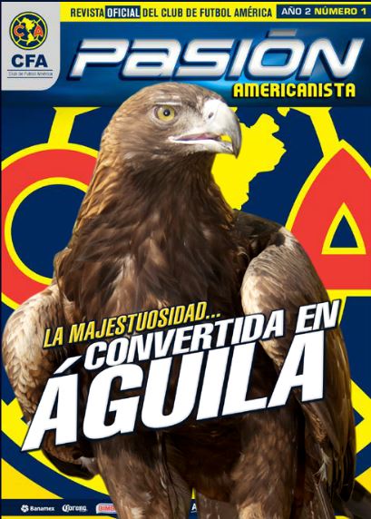 Pasión Americanista: La majestuosidad convertida en Águila * Club América -  Sitio Oficial
